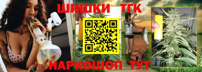 дживик Можга