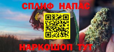 дживик Можга