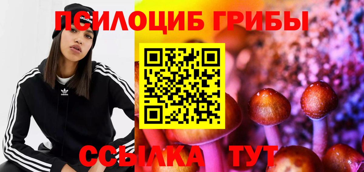 Галлюциногенные грибы мицелий  Вход с VPN  Владимир 